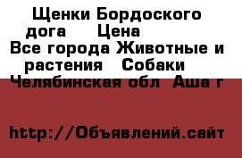 Щенки Бордоского дога.  › Цена ­ 30 000 - Все города Животные и растения » Собаки   . Челябинская обл.,Аша г.